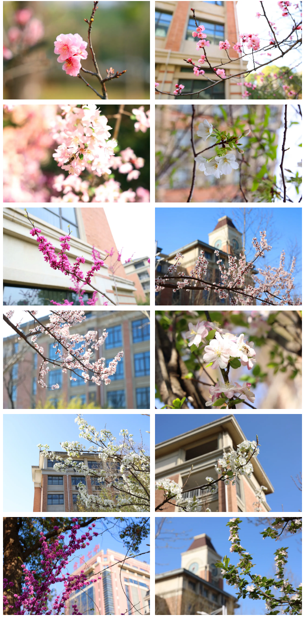 QQ截图20260324173546.png QQ截图20260324173546.png
