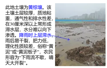 QQ截图20260415105428.png